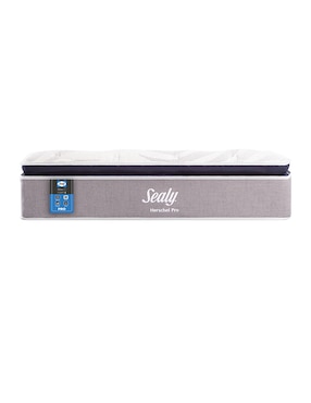 Colchón regular Sealy herschel pro