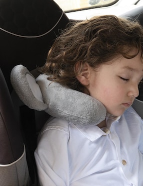 Cojín para sala Chiquimundo Baby Koala