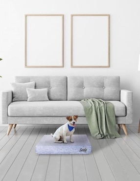 Colchón para perro y gato Sealy
