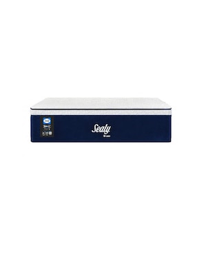 Colchón regular Sealy bruno
