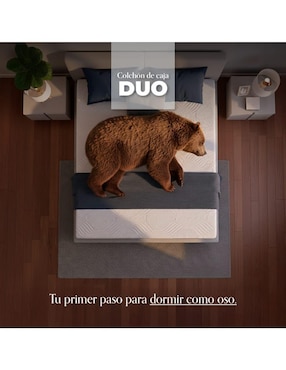 Colchón en caja Spring Air Duo