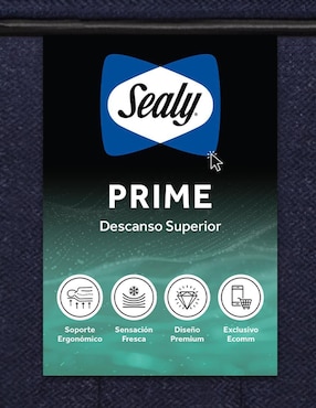 Colchón regular Sealy columbus + aspiradora de regalo