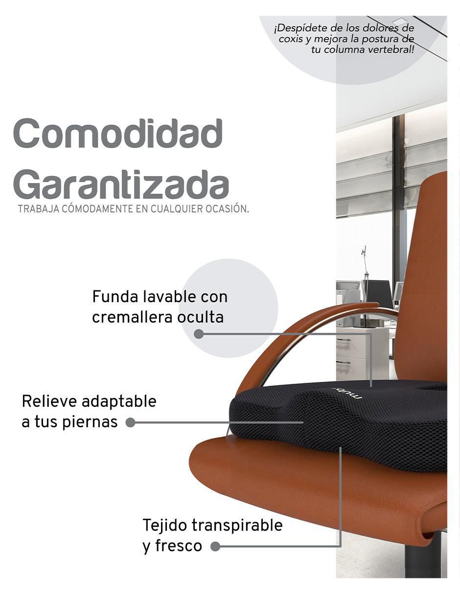 Cojín 3