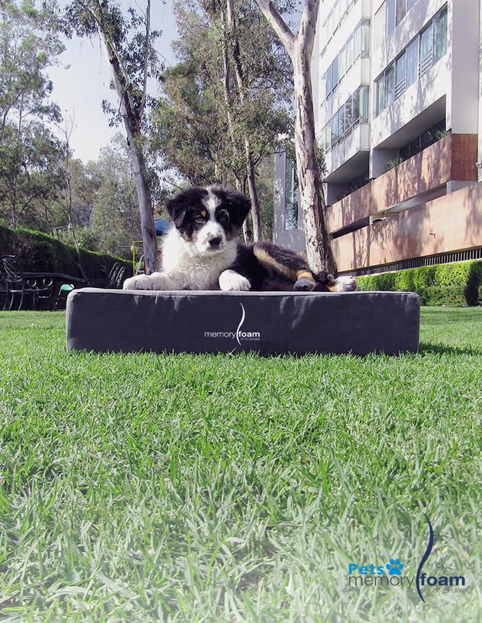 Colchón para perro 6