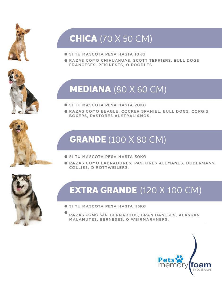 Colchón para perro 2