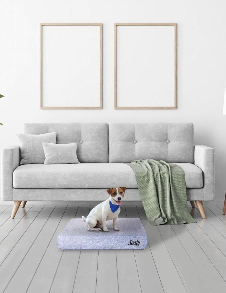 Colchón para perro y gato 6