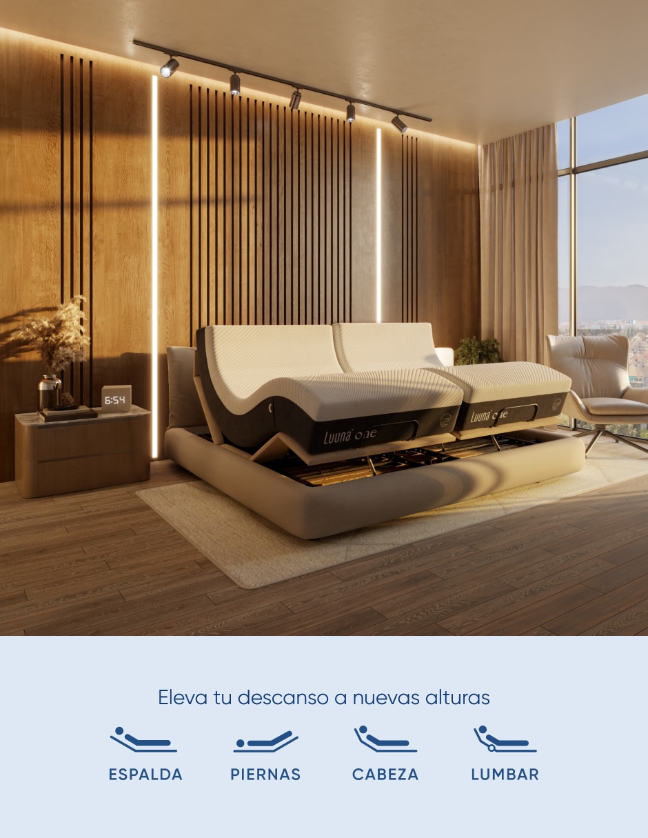 Cama eléctrica 2