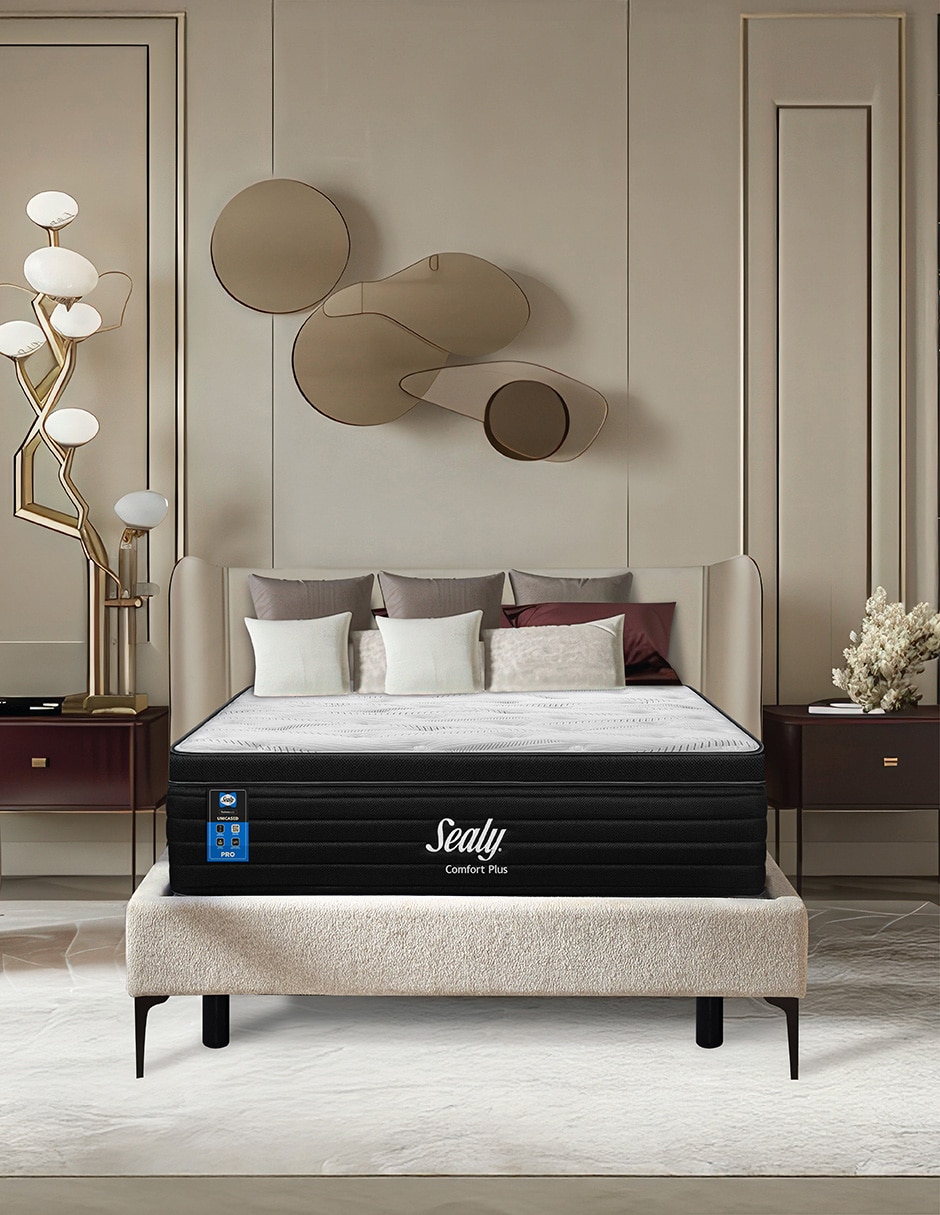 Colchón regular confort plus 2