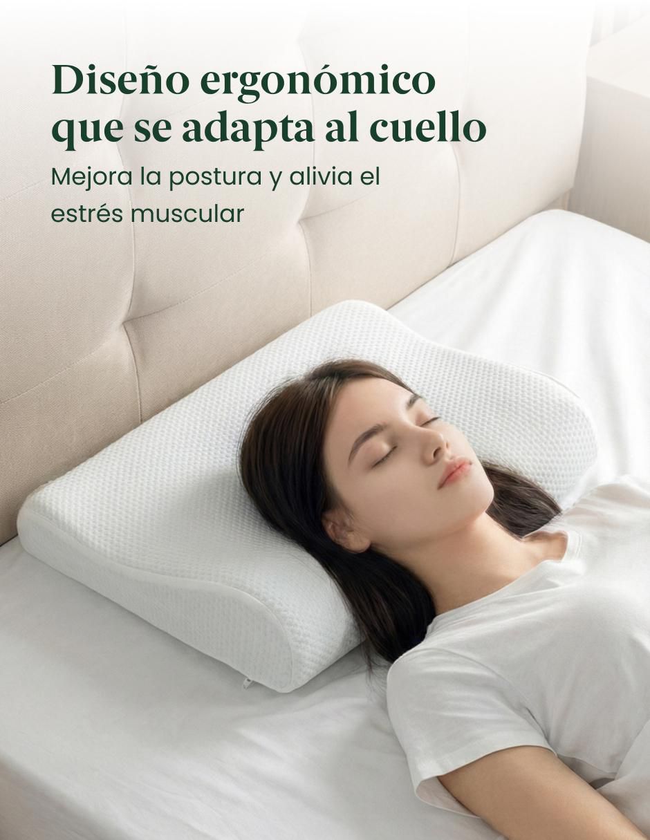 Almohada Pillow firmeza media 2